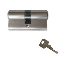 Cylindre européen EXS 1000 2 entrées 30x30 nickelé mat 3 clés